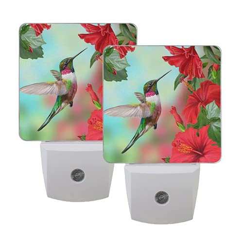 Hummingbird Flower