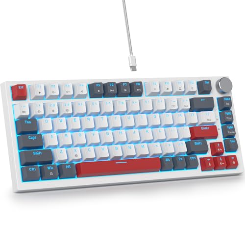 Gray White /Red Switch