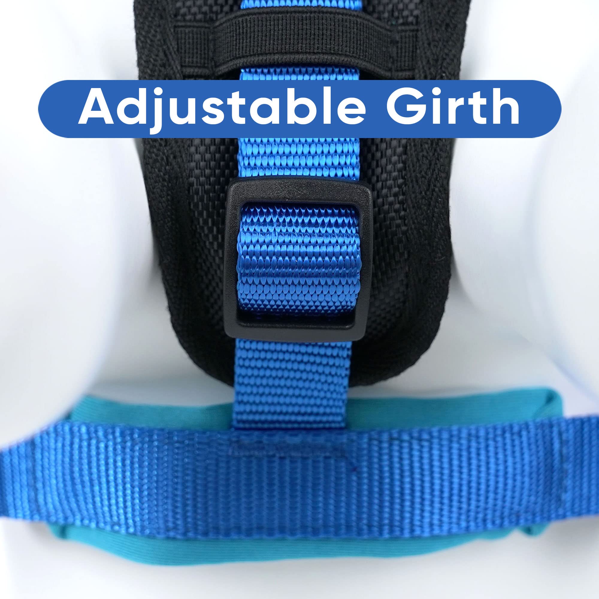 Pawtitas Reflective Dog Harness - Padded & Comfortable Pet Vest for Walking, Running & Outdoor Adventures - Medium Size in Blue - Perfect for Nighttime Safety & Daily Dog Activities