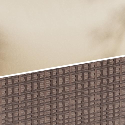 Brown/Beige