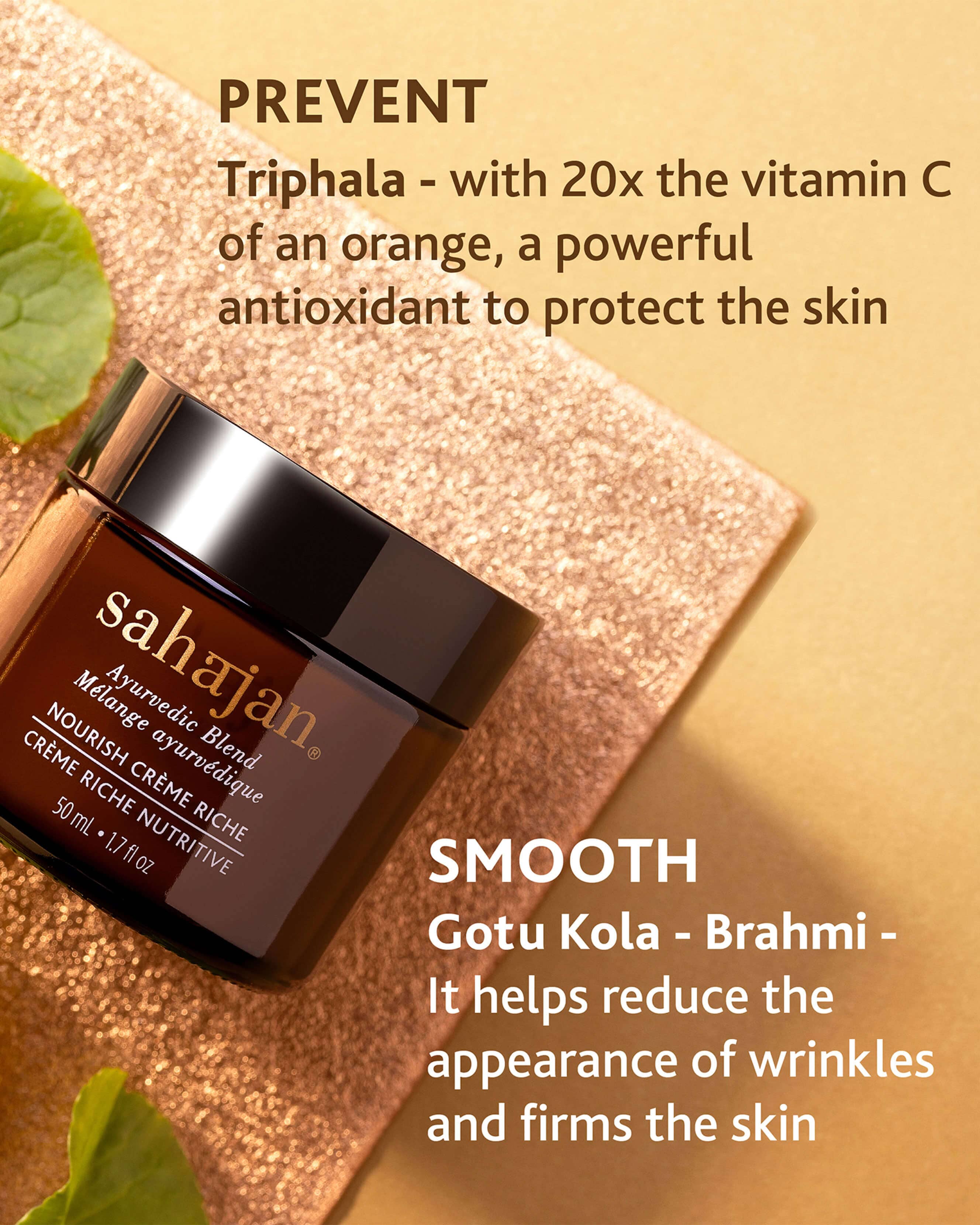 Nourish Crème Riche with Vitamin C & Centella Asiatica - Brightening & Soothing Face Cream for Dry & Sensitive Skin | Day & Night Moisturizer for Glowing Complexion