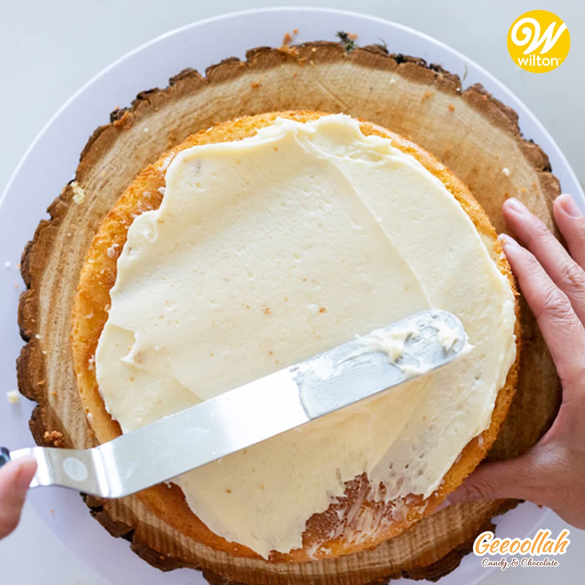 GEEOOLLAH Specialty & Novelty Cake Pans with Icing Spatula Set - Premium Baking Tools for Birthday Cakes, Wedding Cakes & Home Baking