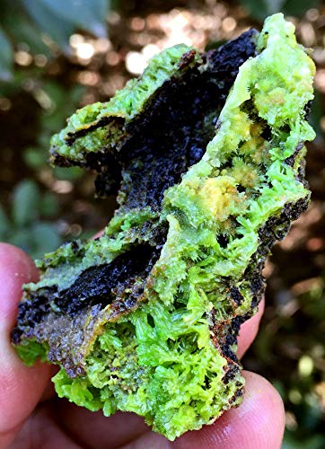 122g Rare Natural Pyromorphite Crystal Specimen - Raw Mineral Collection for Display, Healing & Meditation - Perfect for Gem Enthusiasts & Spiritual Practitioners
