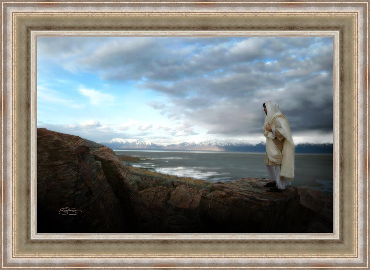 Alone Shepherd Book by Scott Sumner - Inspirational Christian Fiction for Personal Growth & Faith Journey | Perfect for Book Clubs, Bible Study Groups & Quiet Reflection Time