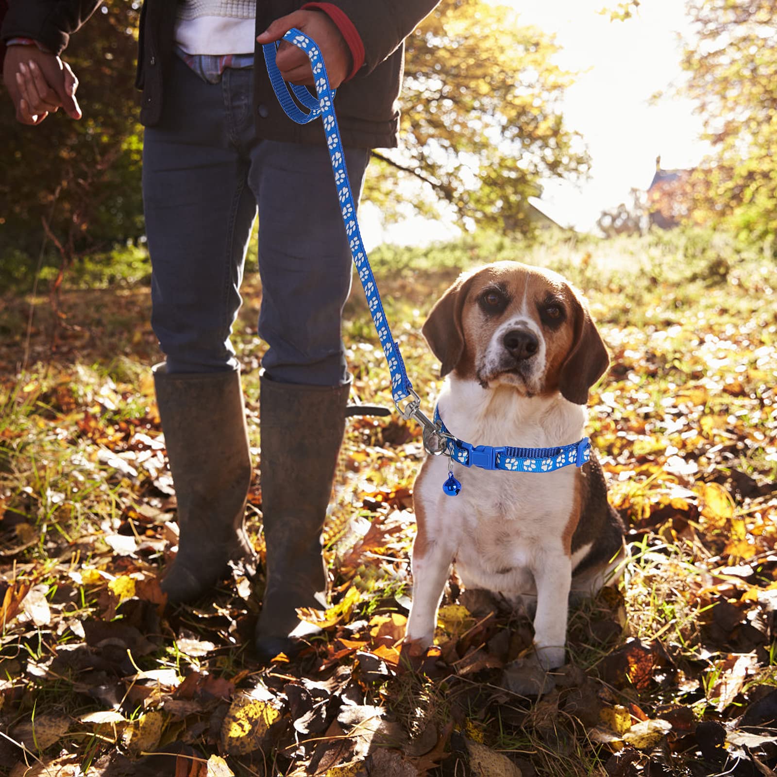 **Molain Adjustable Pet Collar and Leash Set for Dogs & Cats - Durable Quick-Release Clip Training Rope - Perfect for Small Puppies & Kittens (Ideal for Walks, Training & Travel)**