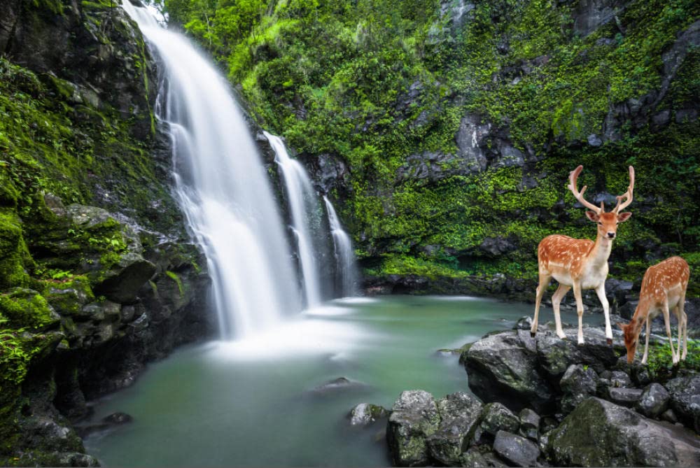 6000-Piece 3D Wooden Jigsaw Puzzle for Adults - Alpine Waterfall Fawn Scene, Unique Home Decor & Gift Idea for Puzzle Lovers (Perfect for Stress Relief & Family Game Night)