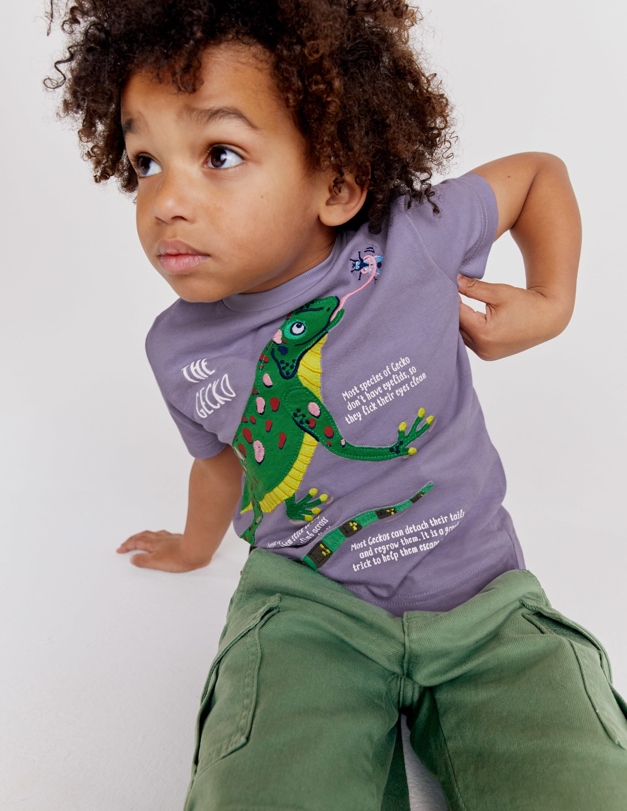 Fun Animal Facts T-Shirt - Misty Lavender Lizard Print Graphic Tee for Kids & Adults | Perfect for School, Casual Wear & Animal Lovers