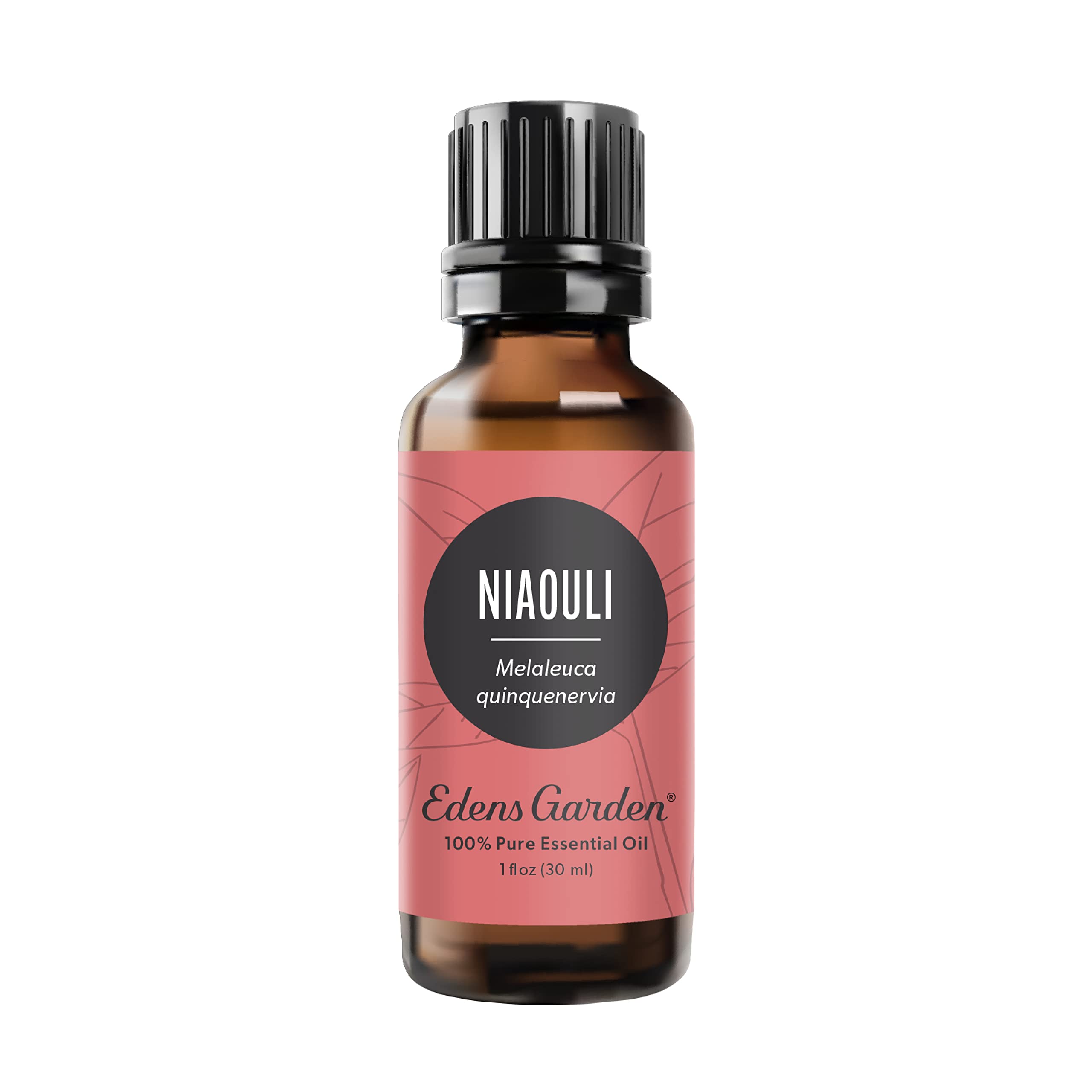 Edens Garden Niaouli Essential Oil - 100% Pure Therapeutic Grade, Undiluted Natural Aromatherapy Oil for Diffusers, Skin Care, Candles & Humidifiers - 30ml (1 fl oz) - Perfect for Relaxation, Stress Relief & Home Fragrance
