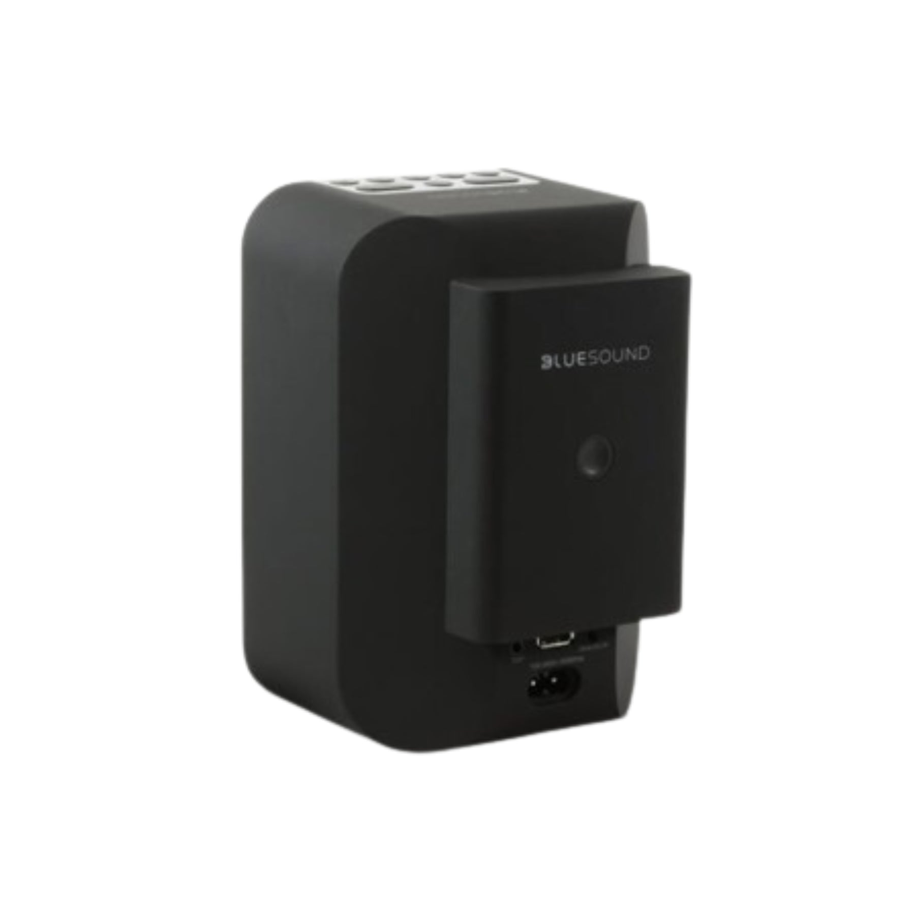 Bluesound BP100 PULSE FLEX Portable Battery Pack for Wireless Speakers - Perfect for Outdoor Parties, Travel & Home Use