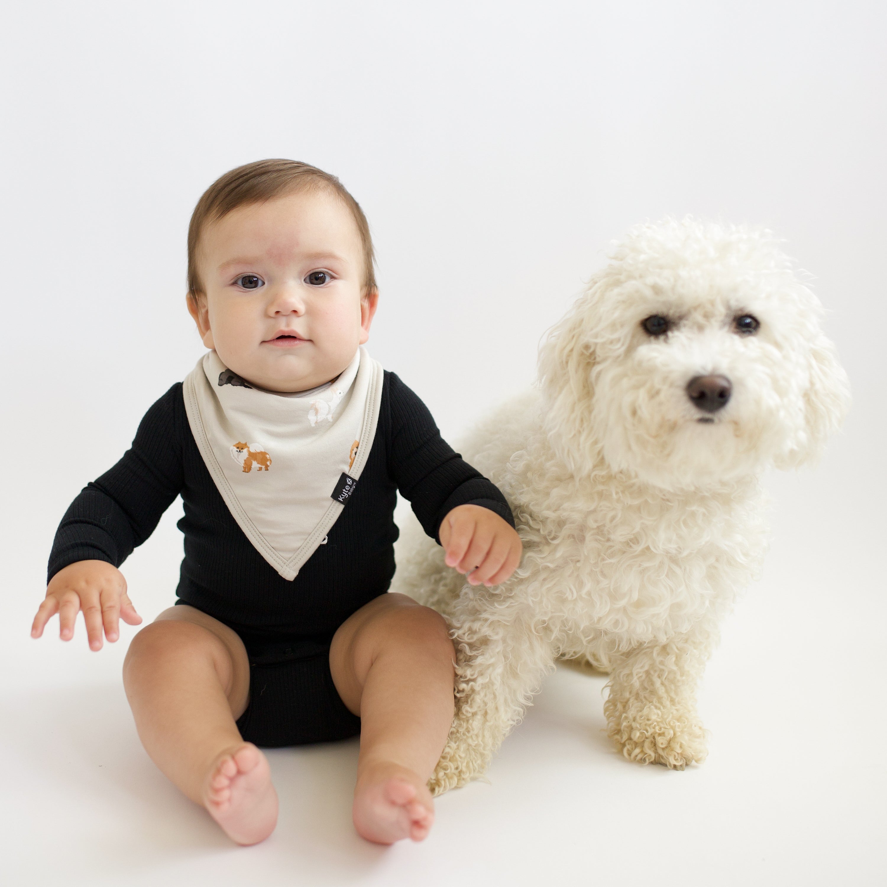 Fluffy Dog Bib - Cute & Absorbent Pet Bib for Messy Eaters - Perfect for Mealtime, Grooming & Travel with Your Dog