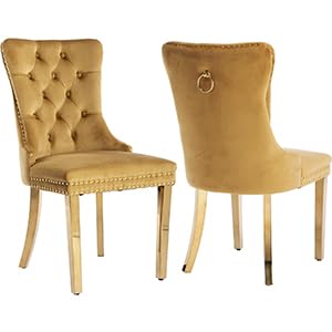 H-2 Gold Velvet, Gold Legs