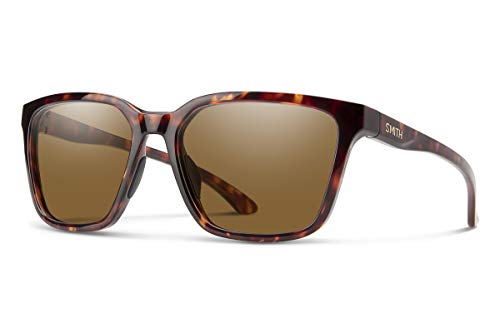 Tortoise / Polarized Brown