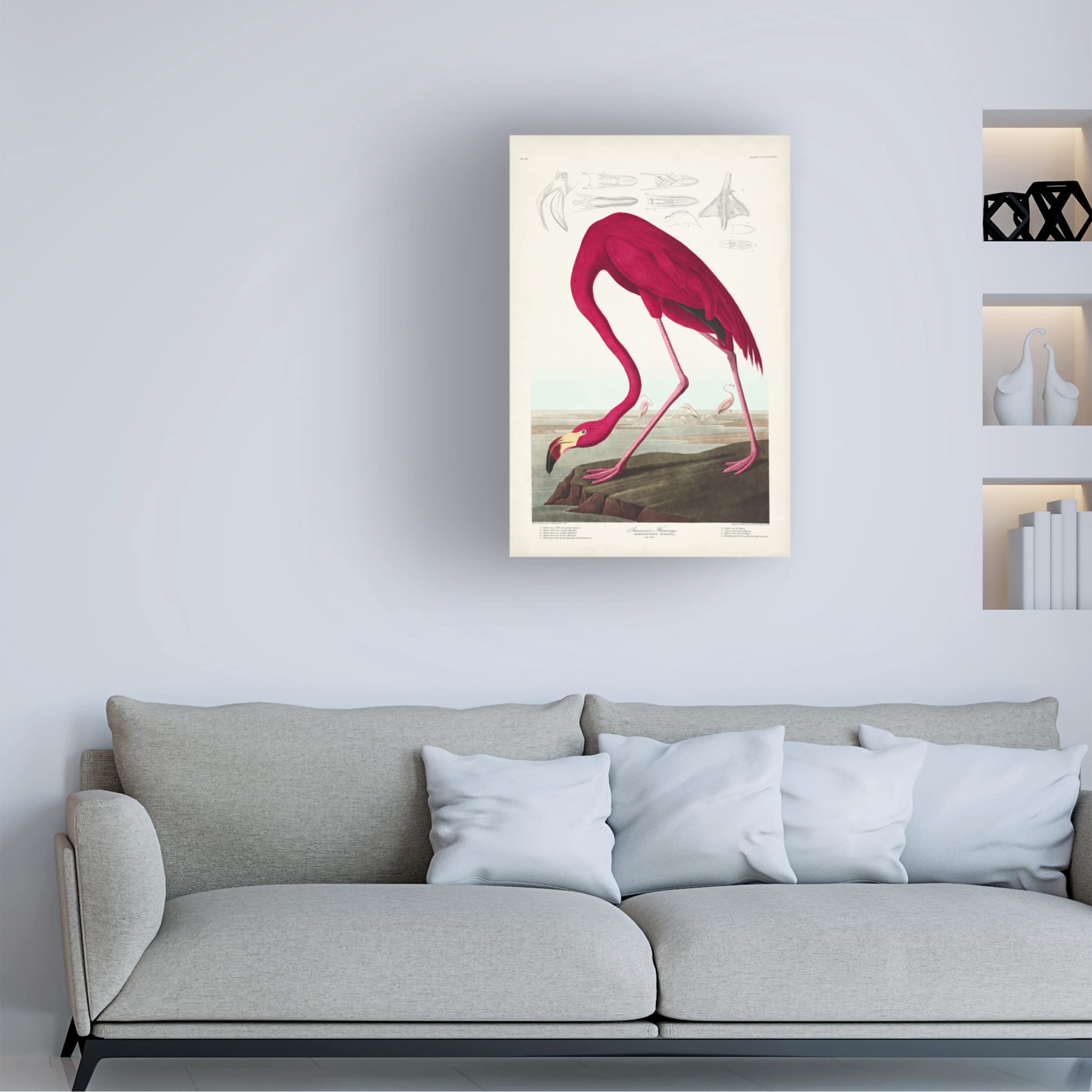 Trademark Fine Art 'American Flamingo' Canvas Wall Art Print by John James Audubon - 30x47 Inches - Tropical Home Decor, Living Room & Office Wall Art