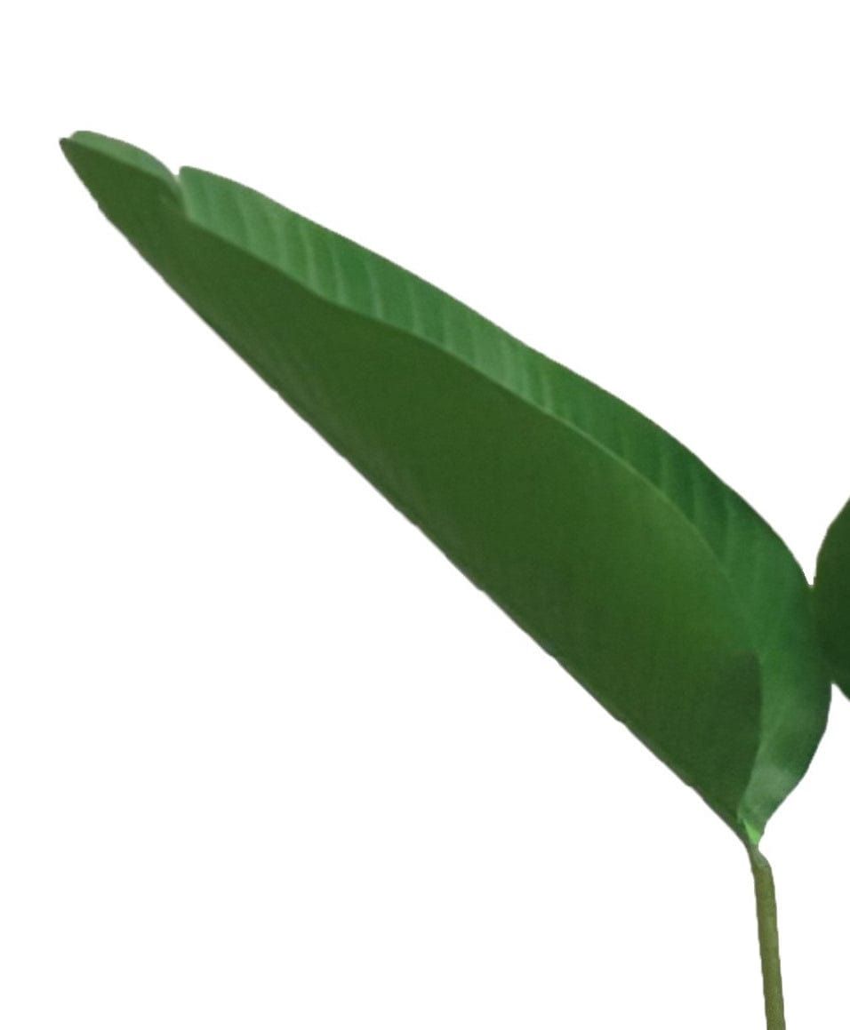 150cm Artificial Banana Palm Plant by Criterion - Perfect for Home Decor, Office Spaces & Tropical Themed Parties