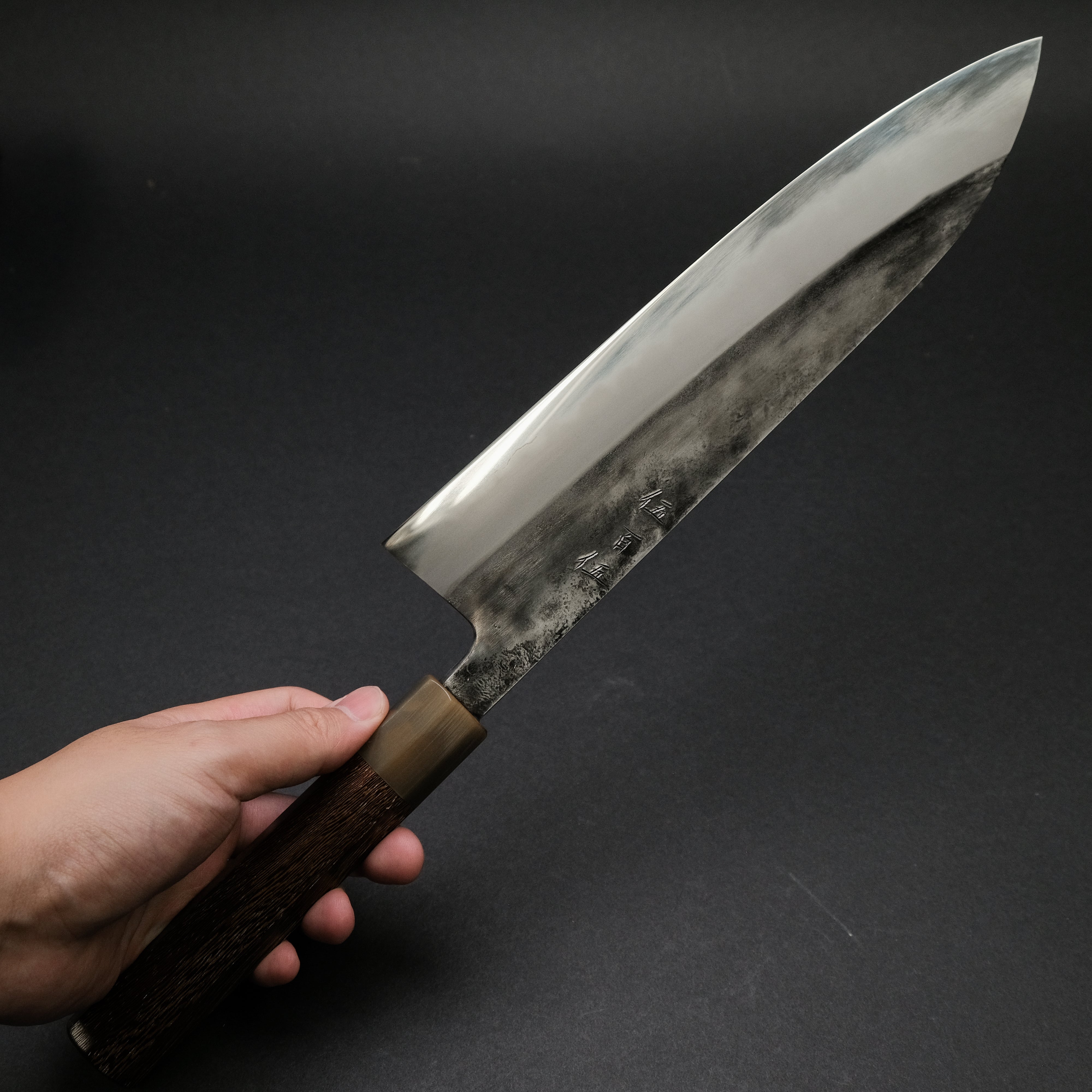 Premium Jiro Tsuchime Wa Gyuto 255mm Japanese Chef Knife with Taihei Tagayasan Handle - Perfect for Sushi, Meat Cutting & Professional Kitchen Use