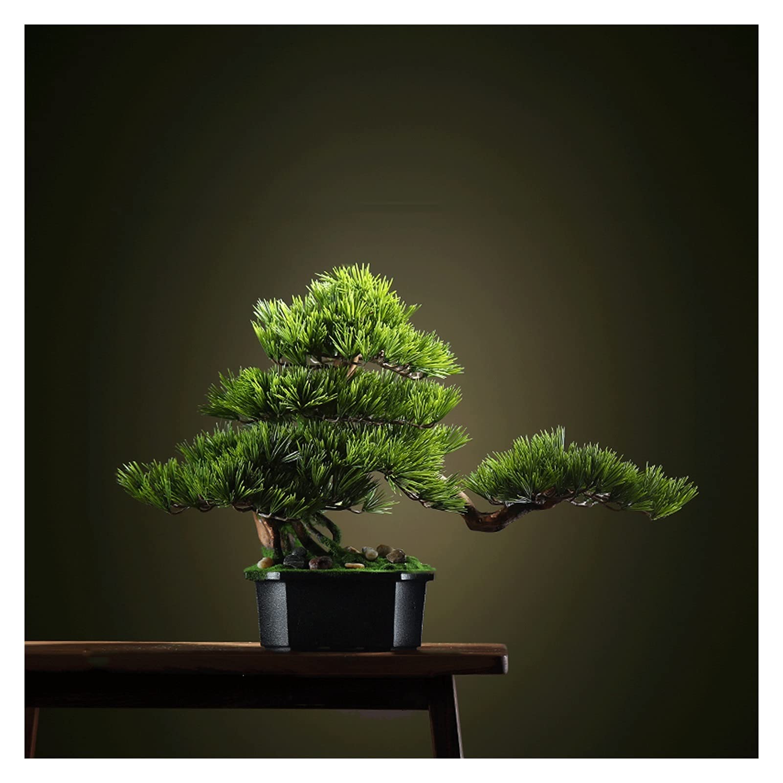 16 Inch Artificial Bonsai Pine Tree - Realistic Faux Potted Cedar Plant for Home & Office Decor | Perfect for Living Rooms, Tea Rooms, Desks & Zen Spaces