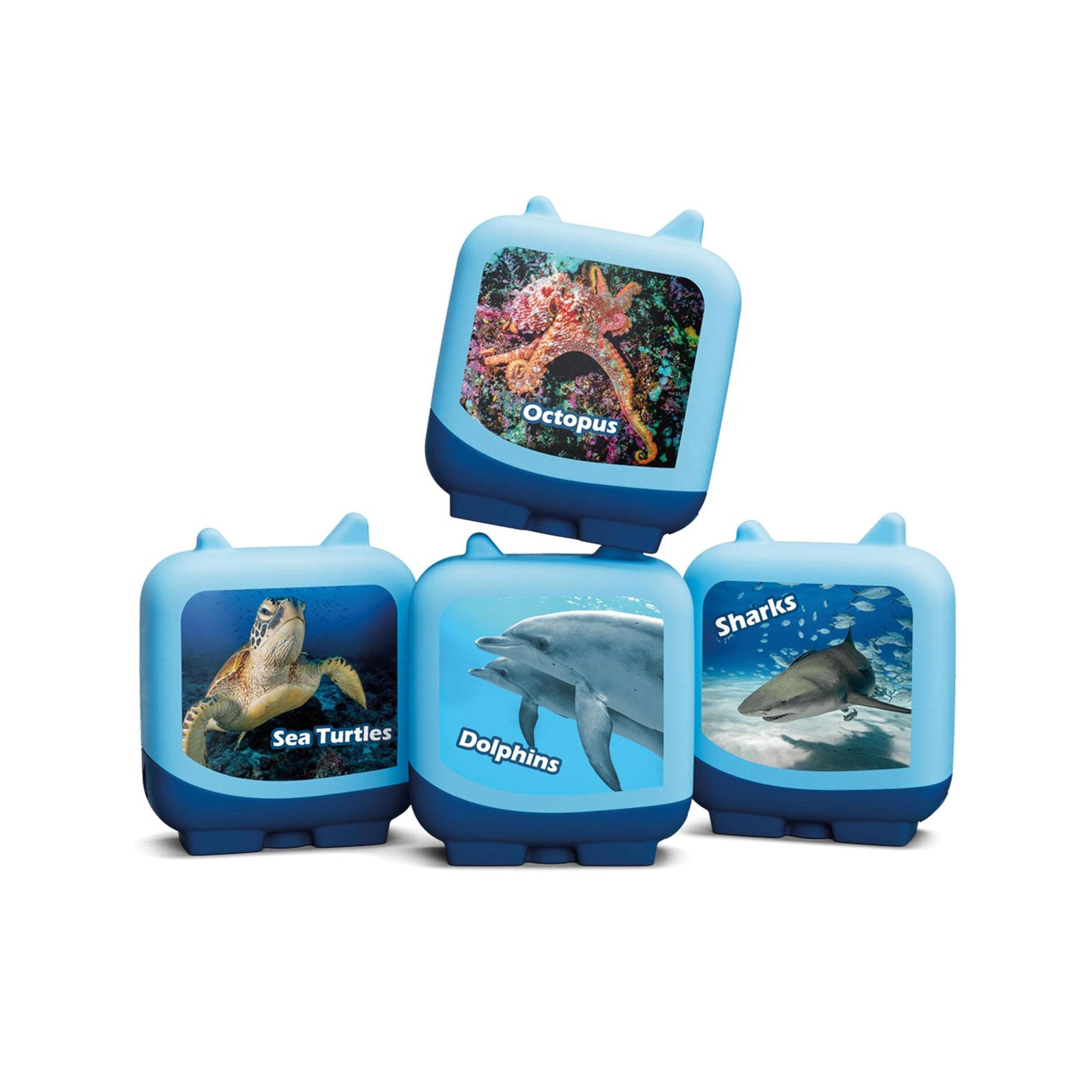 Marine Life