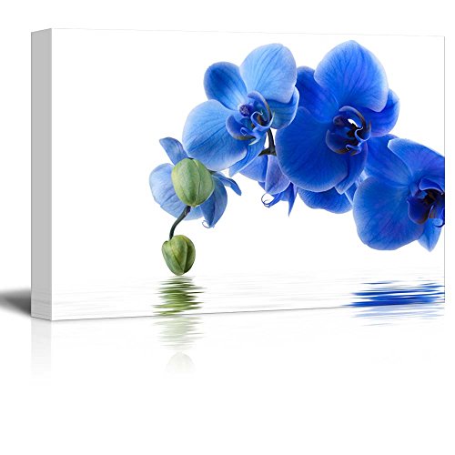 63. Blue Orchid Blooms