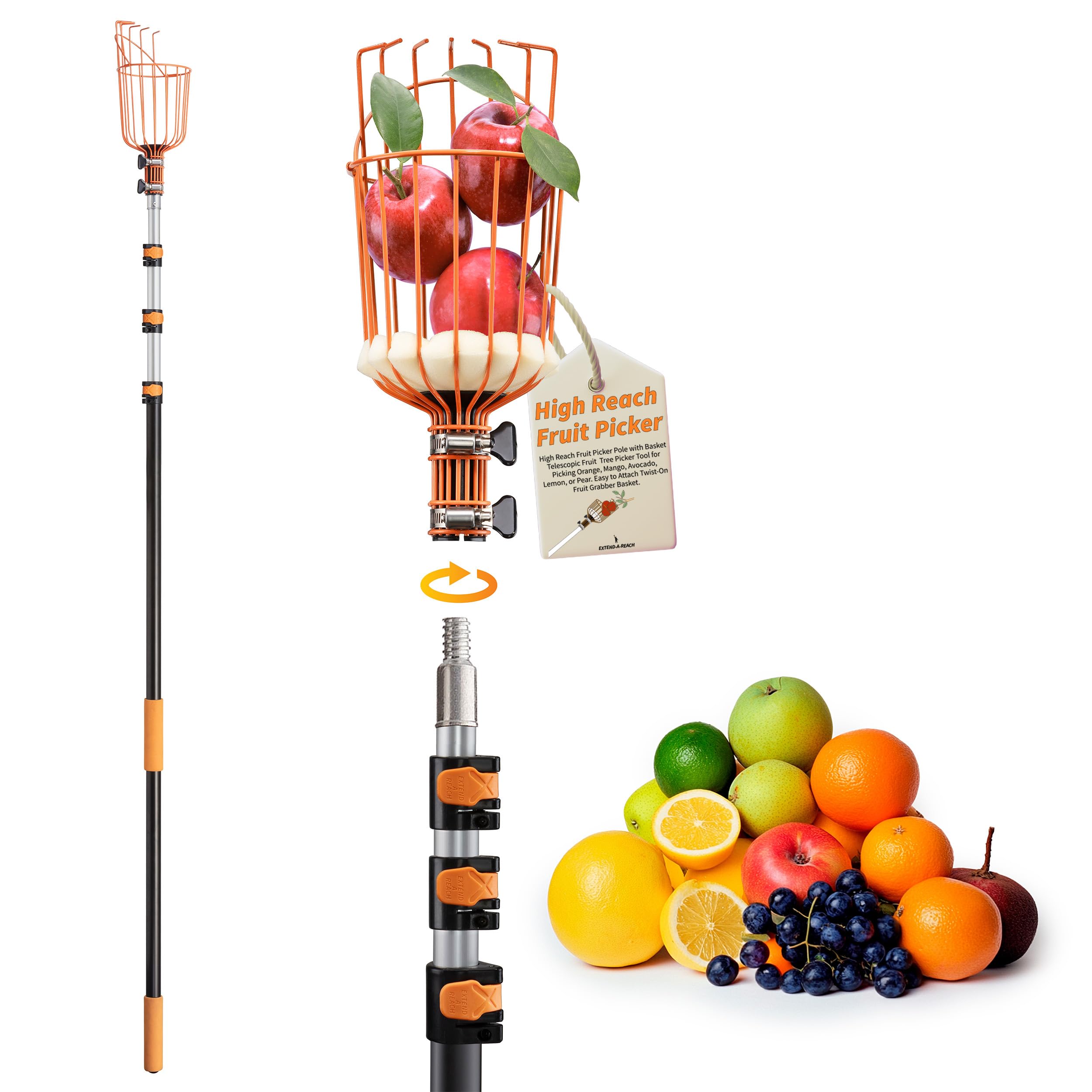 Telescopic Fruit Picker Pole with Basket - Extends 7 to 30 ft for High-Reach Harvesting | Apple, Orange, Mango, Avocado, Lemon & Pear Picking Tool | Perfect for Home Orchards, Backyard Gardening & Commercial Use