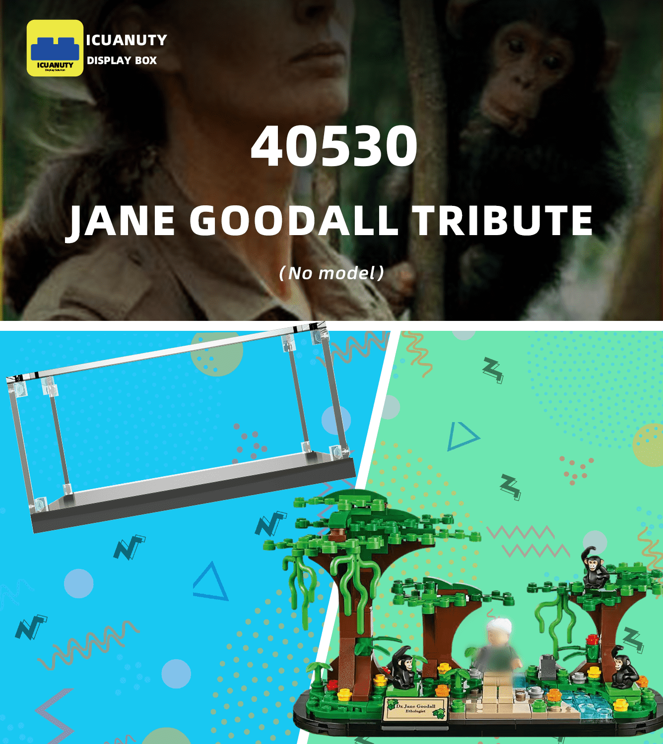 LEGO Creator Jane Goodall Tribute 40530 Display Case - Premium Acrylic Showcase for LEGO Collectibles | Perfect for Home Office Decor & Gift Giving