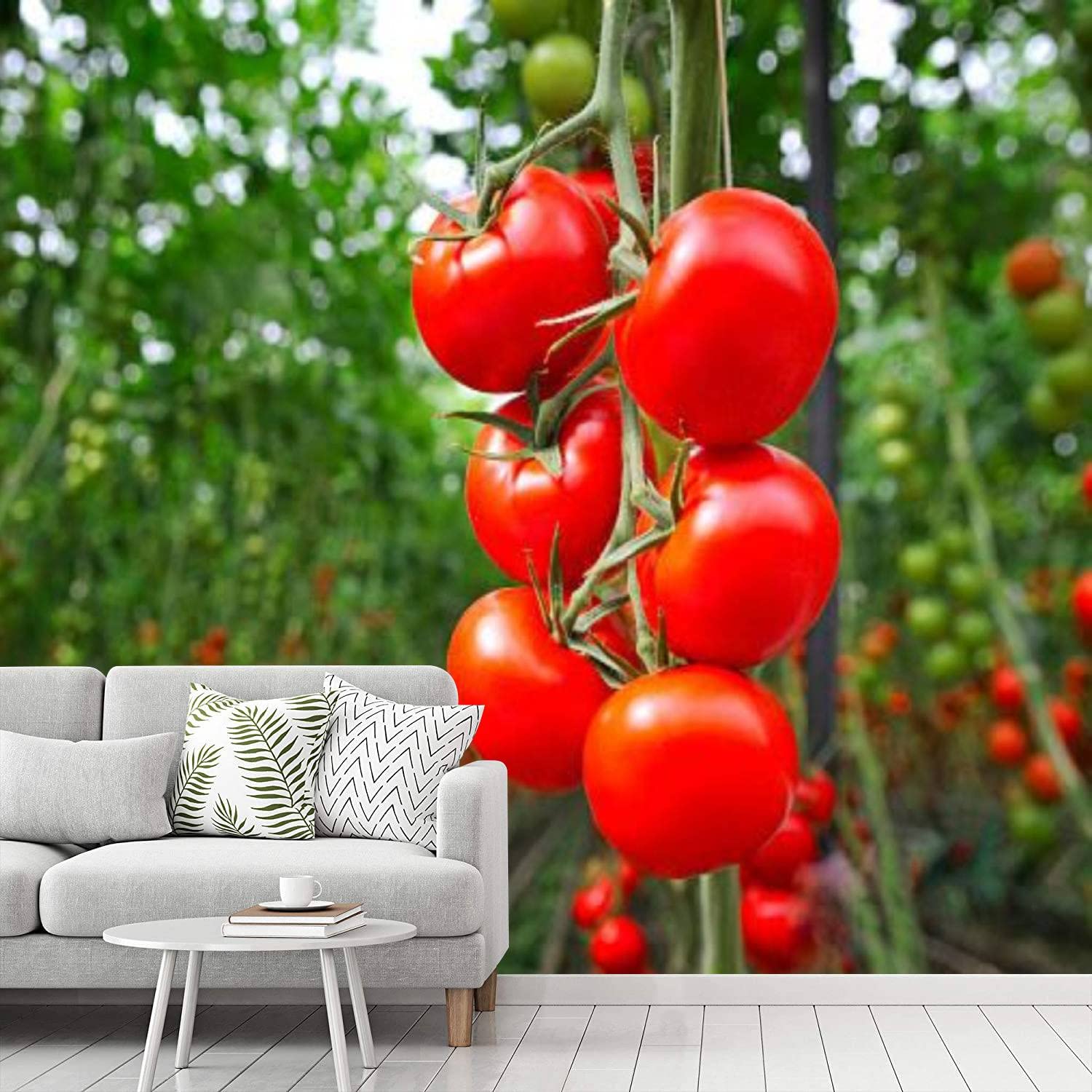 Peel and Stick Wallpaper - Tomato Greenhouse Design - Self Adhesive Removable Contact Paper for Home, Bedroom & Living Room Decor - Easy DIY Wall Mural for Kitchen, Nursery or Office Renovation