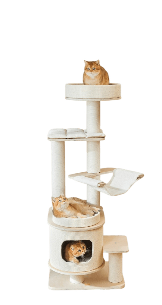 Premium Multi-Layer Solid Wood Cat Tree with Scratching Posts - Cozy Cat Nest for Indoor Kittens, Perfect for Play, Sleep & Climbing in Living Rooms & Bedrooms