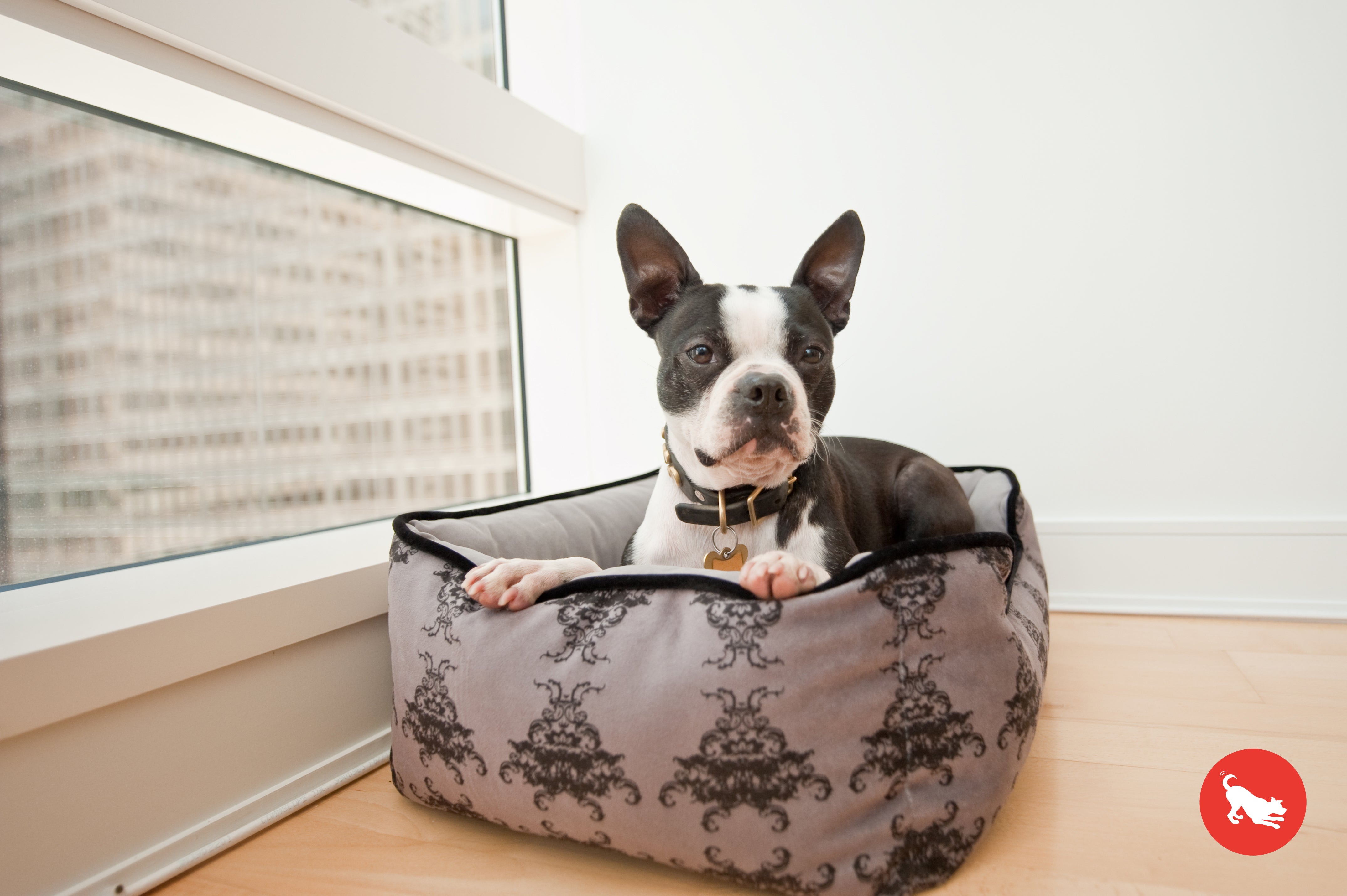 Premium Orthopedic Dog Bed with Royal Crest Design - Washable & Supportive Pet Sofa for Large & Small Dogs - Perfect for Living Room, Bedroom, or Pet Lounge Areas
