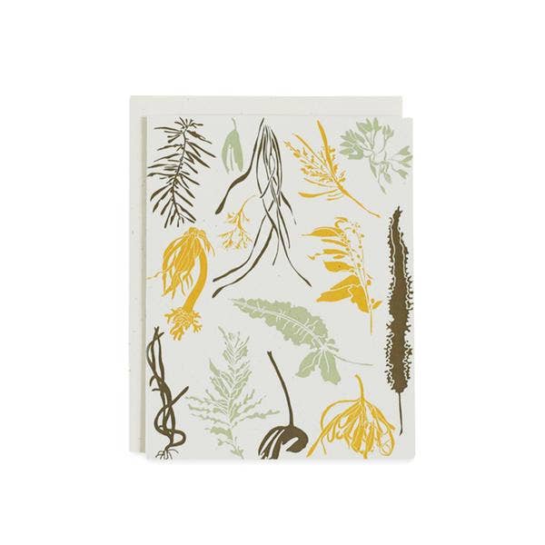 June & December Pacific Seaweeds Greeting Card - Beautiful Ocean-Themed Stationery for Birthdays, Holidays & Special Occasions