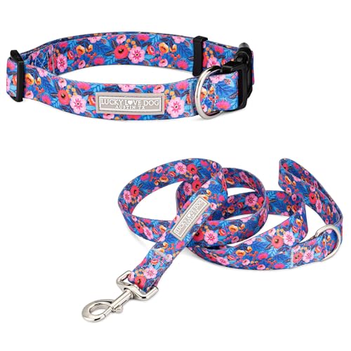 Zuzu Collar/Leash Combo