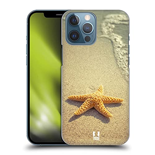 Starfish By The Shore