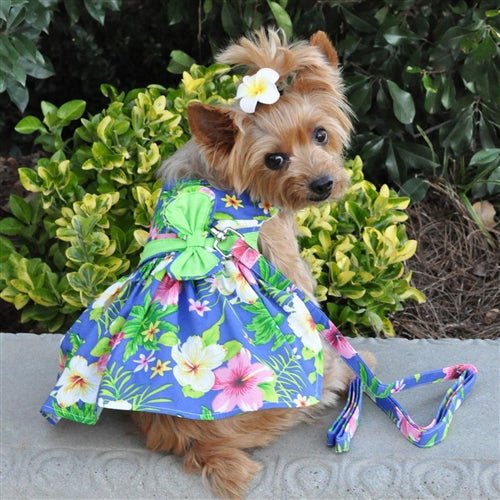 Premium Blue Lagoon Hawaiian Hibiscus Dog Harness Dress with Matching Leash - Stylish & Comfortable Pet Outfit for Beach Walks, Parties & Photo Shoots