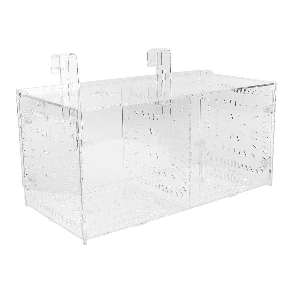 Double Fixing Fish Tank Breeding Box - High Transmittance Aquarium Incubation Box 30x15x15cm for Safe Fish Fry Rearing | Perfect for Guppy, Betta, and Goldfish Breeding in Home Aquariums