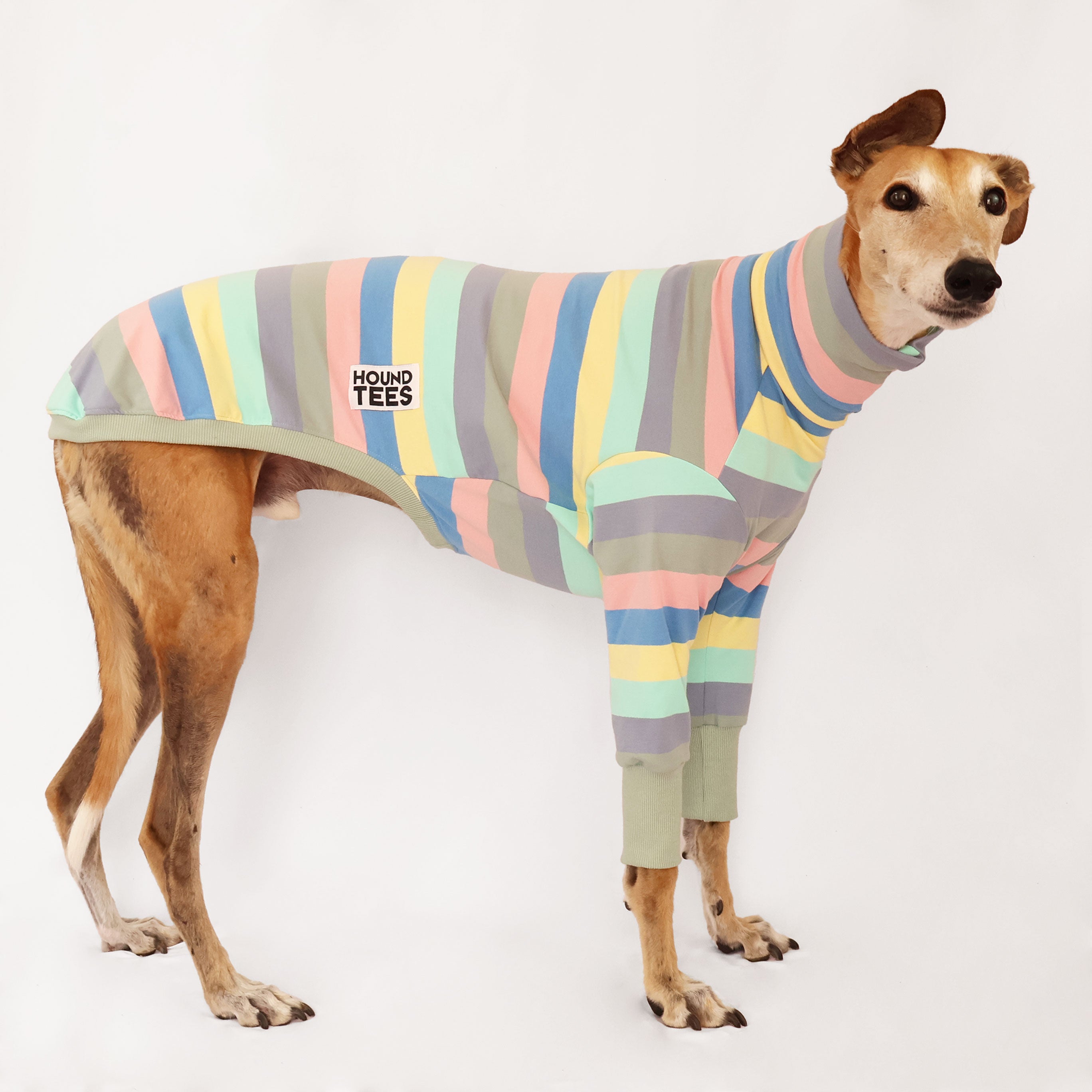 Blueberry Cheesecake Greyhound Dog Sweater - Cozy Long Sleeve Knit Pullover for Small Medium Large Dogs - Perfect for Winter Walks & Indoor Lounging