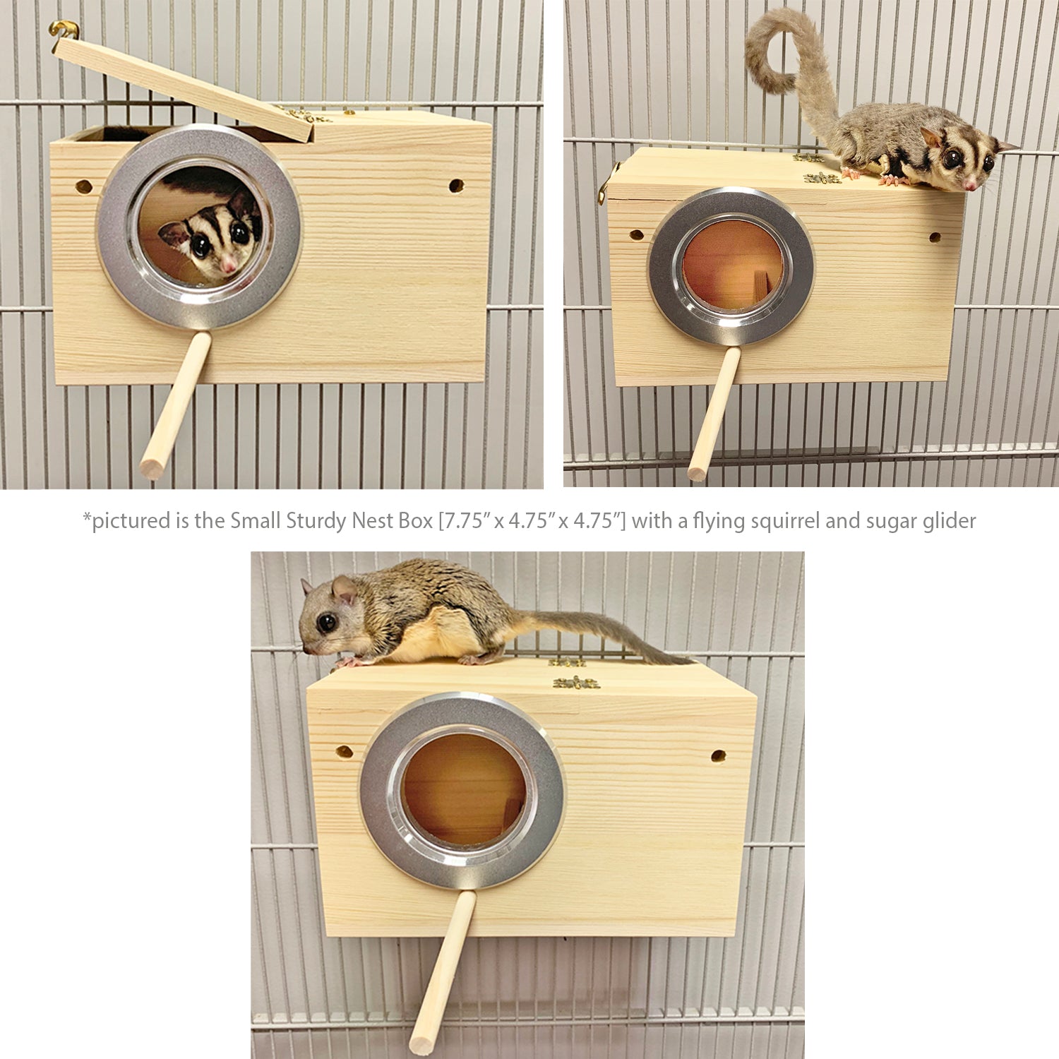 Sturdy Wooden Nest Box for Birds - Durable Outdoor Birdhouse for Garden, Backyard & Wildlife Habitat