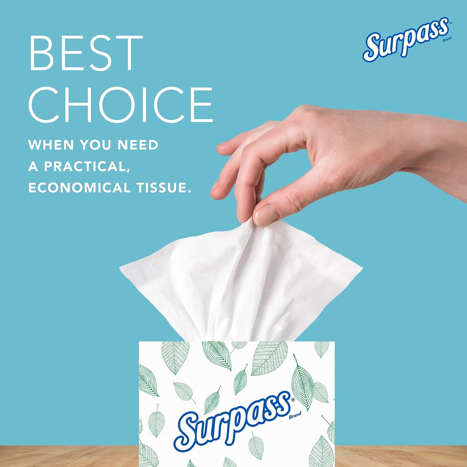 Premium 2-Ply Facial Tissues in Pop-Up Box - 110 Count | Soft & Strong for Everyday Use at Home, Office & Travel