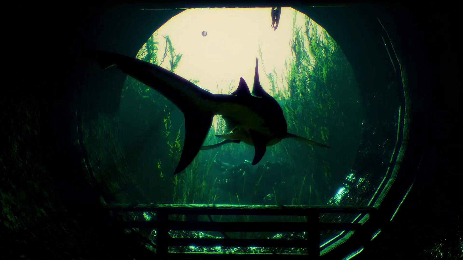 Maneater - Nintendo Switch Game | Open-World Action RPG | Underwater Adventure for Shark Lovers | Perfect for Home Gaming & Travel Entertainment