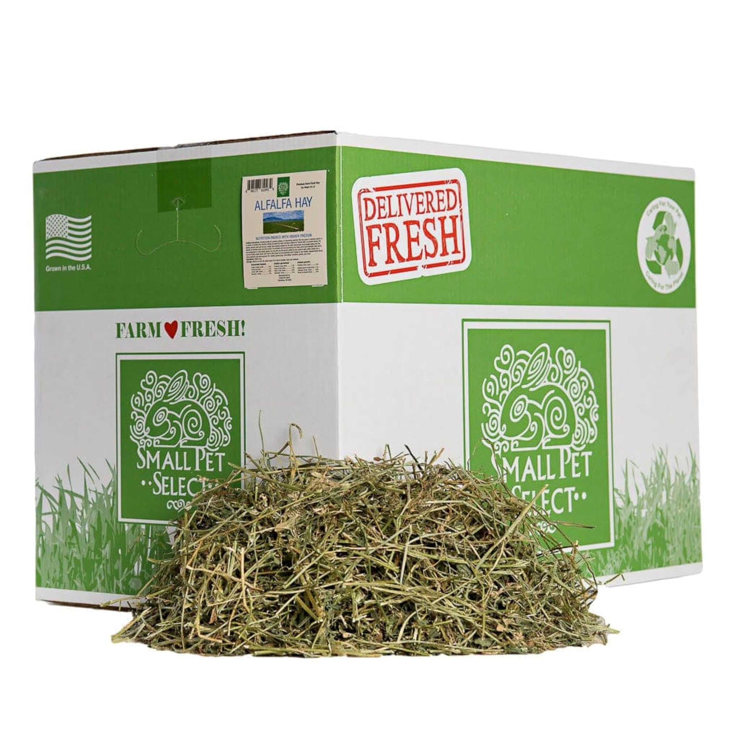 Premium Small Pet Alfalfa Hay - 20 LB High-Quality Natural Food for Rabbits, Guinea Pigs & Chinchillas | Perfect for Daily Feeding, Cage Bedding & Dental Health