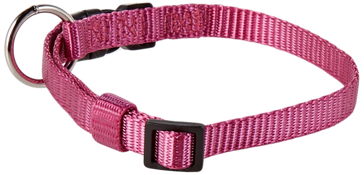 Premium Classic Dog Collar - Durable Nylon Pet Collar with Metal Buckle for Small Medium Large Dogs - Perfect for Walking, Training & Outdoor Adventures