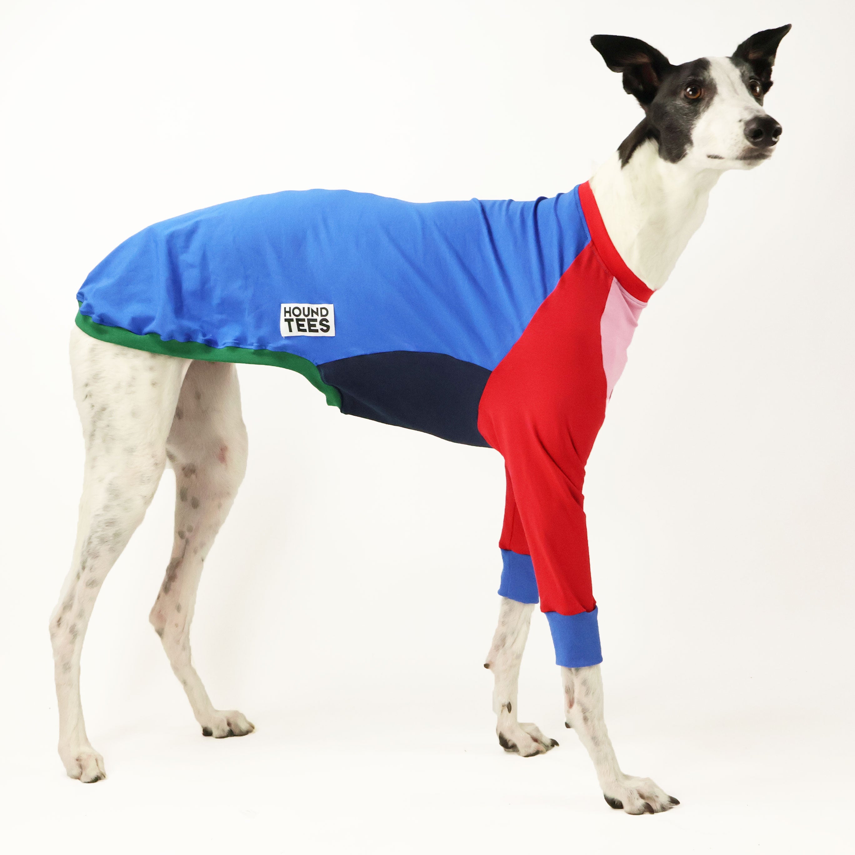 Frankie Jester Greyhound Long Sleeve T-Shirt - Comfortable Dog Lover Apparel for Casual Wear & Outdoor Activities
