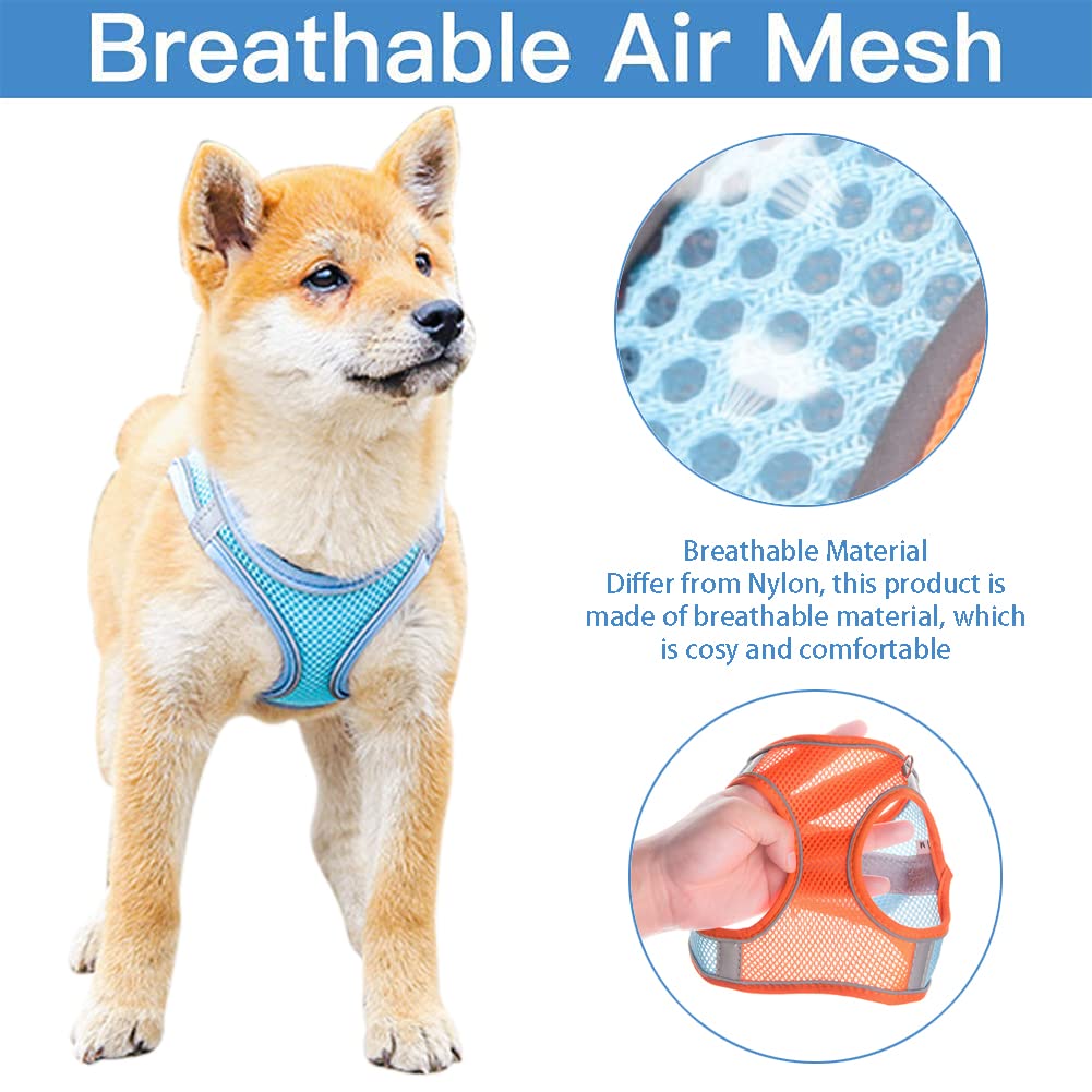 No-Pull Adjustable Mesh Cat & Small-Medium Dog Harness with Leash - Step-in Vest for Puppies & Small Breeds - Comfortable Walking Pet Harness Set for Daily Walks, Hiking & Outdoor Adventures