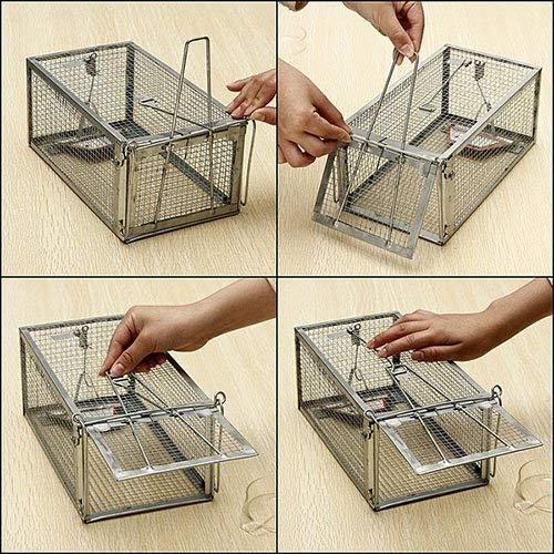 Humane Live Animal Chipmunk Trap - 1 Door Small Rodent Cage for Mice, Rats & Squirrels | Indoor & Outdoor Use | Perfect for Gardens, Farms & Home Pest Control