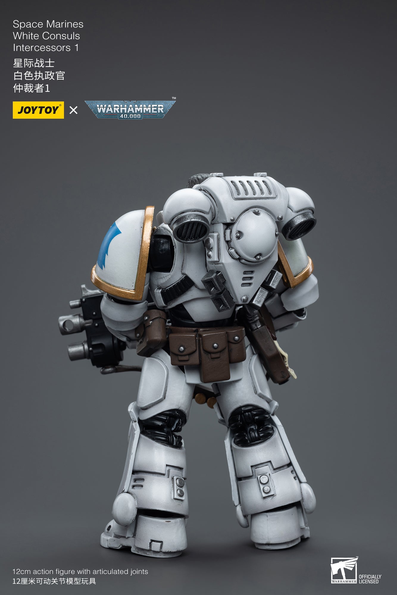1/18 JOYTOY Warhammer 40K Space Marines White Consuls Intercessors Action Figure - Collectible Miniature for Tabletop Gaming & Display