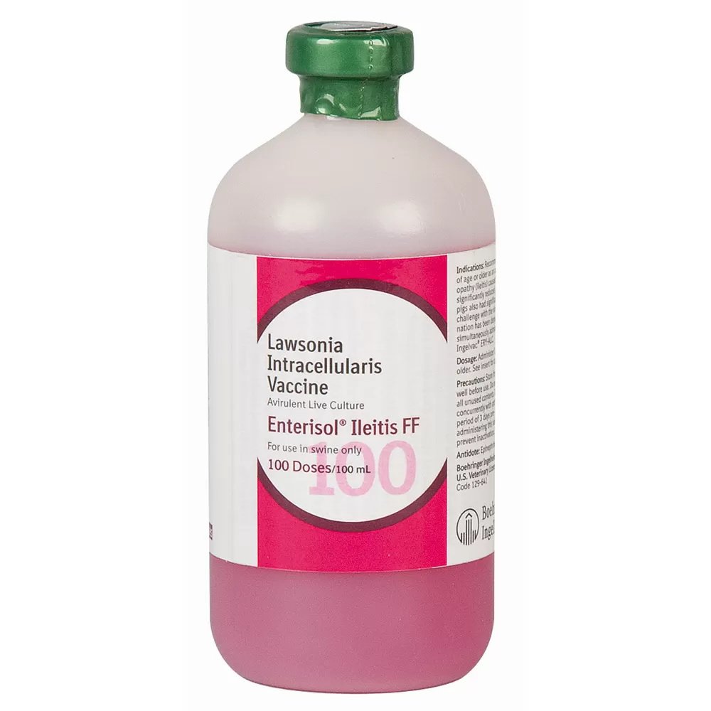 Enterisol® Ileitis Vaccine for Pigs - Effective Prevention & Treatment of Swine Intestinal Disease | Farm Use & Herd Health Management