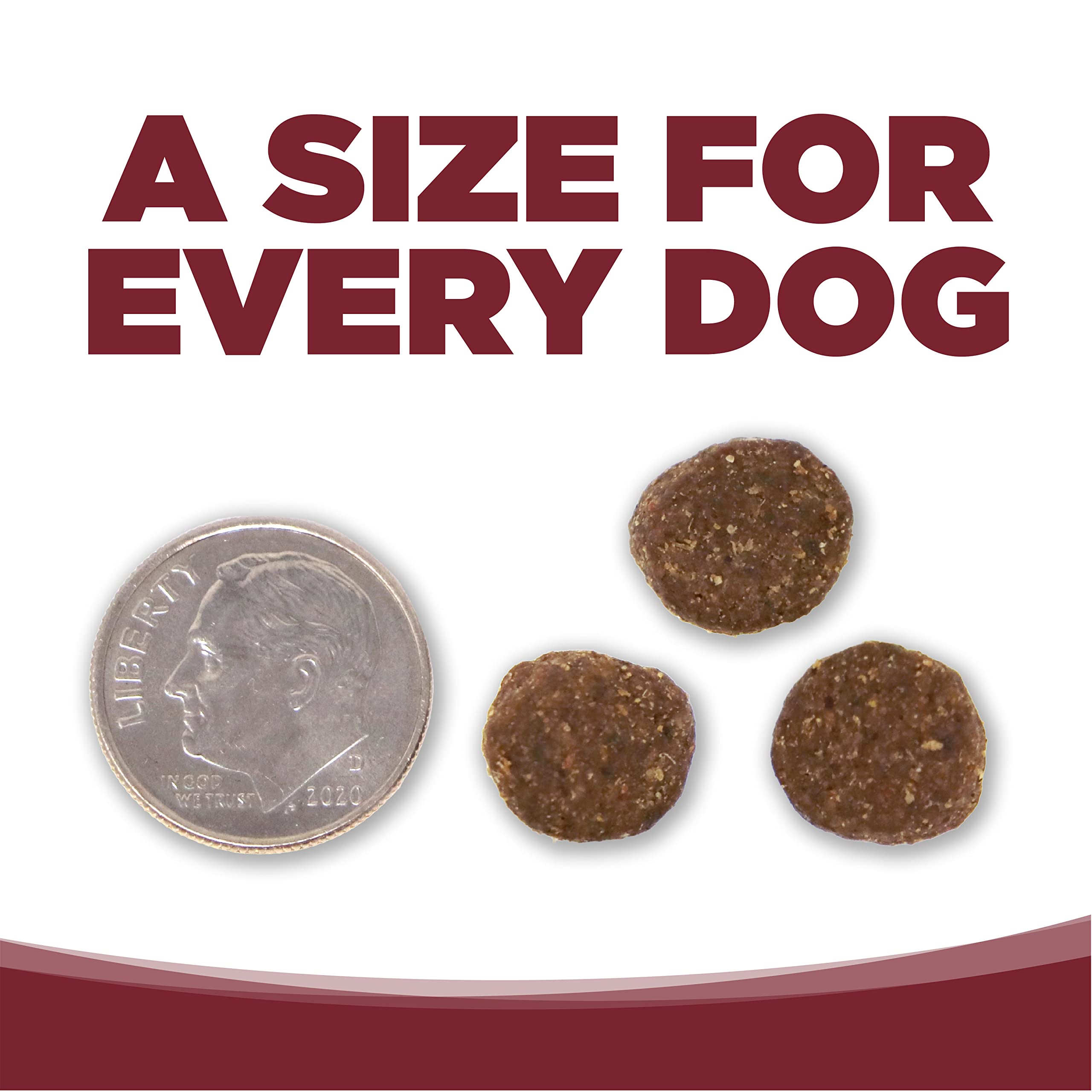 NutriSource Beef & Brown Rice Dry Dog Food - 5LB Bag | High-Protein, Wholesome Grains for Adult Dogs | Perfect for Daily Meals & Training Treats