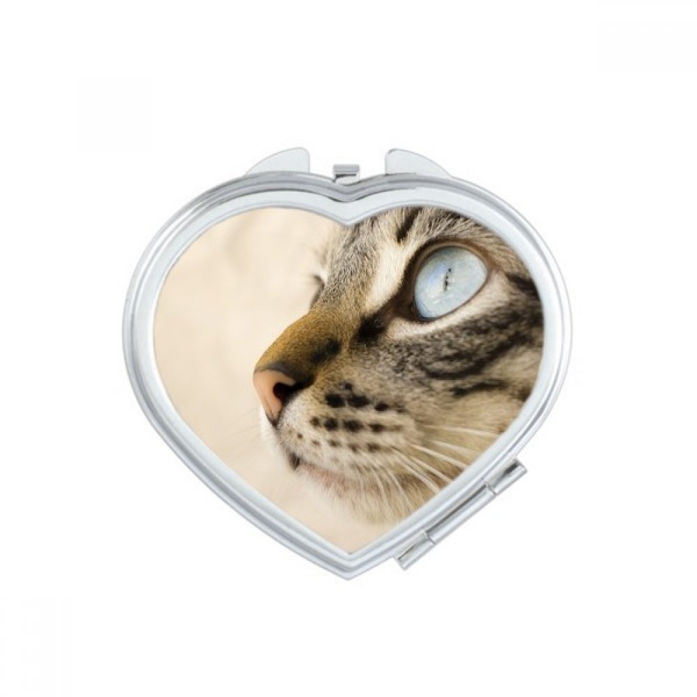 DIYthinker Blue Eye Kitten Gray Heart-Shaped Compact Makeup Mirror - Portable Cute Handheld Pocket Mirror for Women, Girls Gift (Perfect for Travel, Purse, Makeup Touch-Ups & Valentine's Day Present)