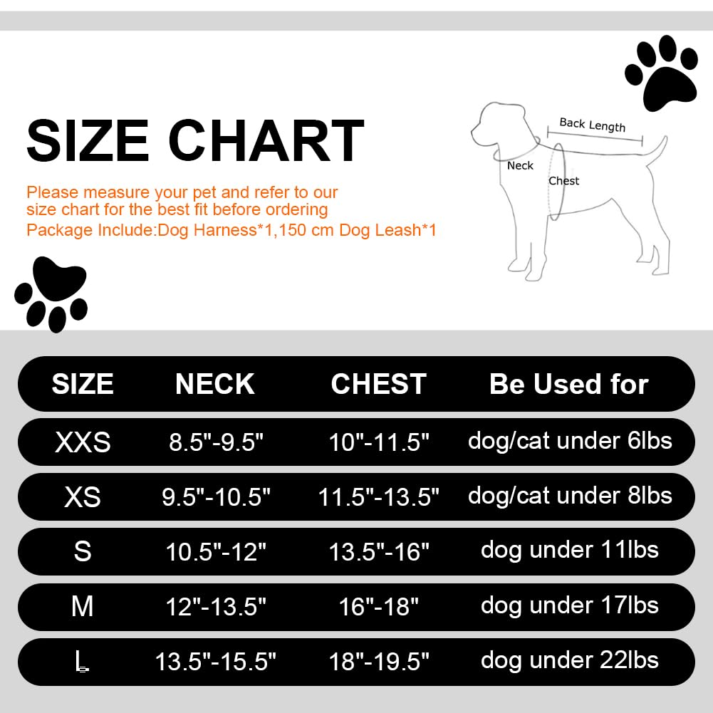 No Pull Adjustable Dog Harness & Leash Set for Small Medium Dogs - Breathable Mesh Reflective Puppy Harness with Soft Padded Vest, Easy Step-in Design (Black, Size M) - Perfect for Walking, Training & Outdoor Adventures