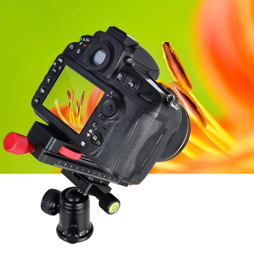 HCLZOE All Metal Worm Drive Macro Rail with Fine Focus - Arca/Lever Clamp Compatible for Precision Photography & Macro Shooting