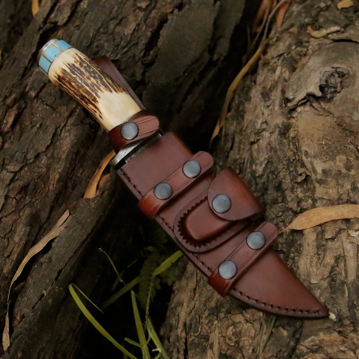 Premium Bull Nose Hunting Knife with Antler & Turquoise Handle - Durable Fixed Blade for Outdoor, Camping, and Survival - Perfect Gift for Hunters & Adventurers