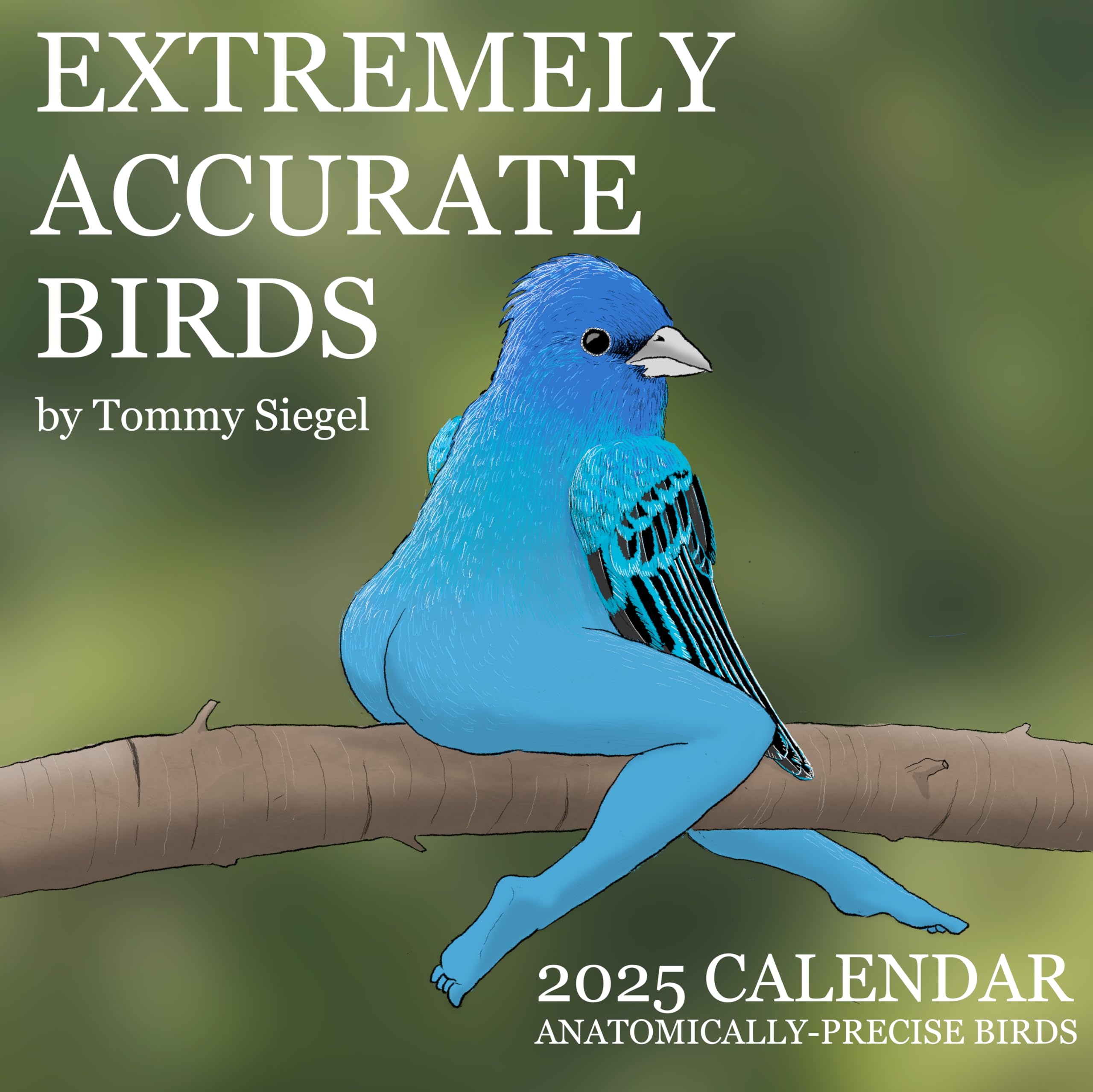 2025 Bird Lover's Calendar - Highly Accurate Avian Illustrations by Tommy Siegel | Perfect for Home, Office & Gifts for Bird Enthusiasts