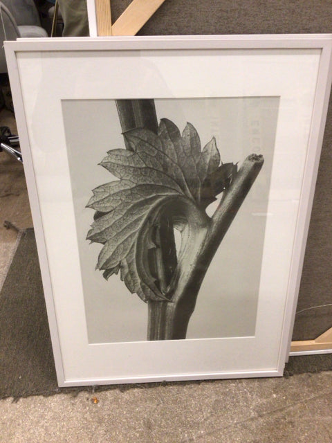 BoConcept Canadian Burnet Framed Art Print 20.5